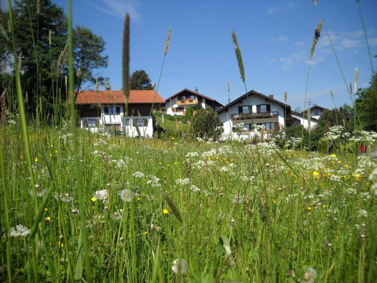 Im- Oberland - Berg - Koenigscard Daire Bad Kohlgrub Dış mekan fotoğraf
