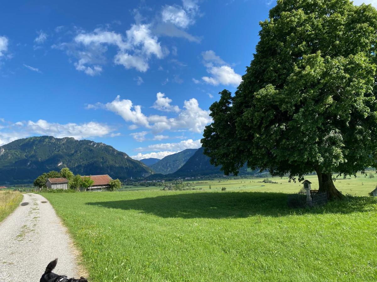 Im- Oberland - Berg - Koenigscard Daire Bad Kohlgrub Dış mekan fotoğraf