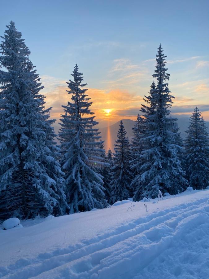 Im- Oberland - Berg - Koenigscard Daire Bad Kohlgrub Dış mekan fotoğraf