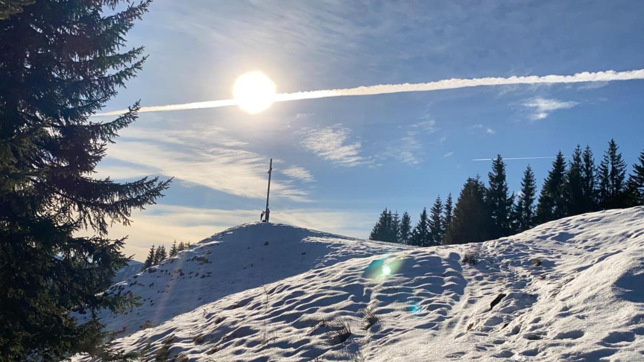 Im- Oberland - Berg - Koenigscard Daire Bad Kohlgrub Dış mekan fotoğraf