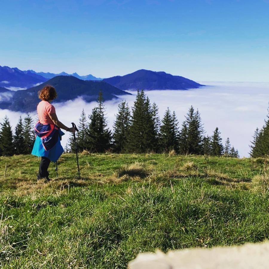 Im- Oberland - Berg - Koenigscard Daire Bad Kohlgrub Dış mekan fotoğraf