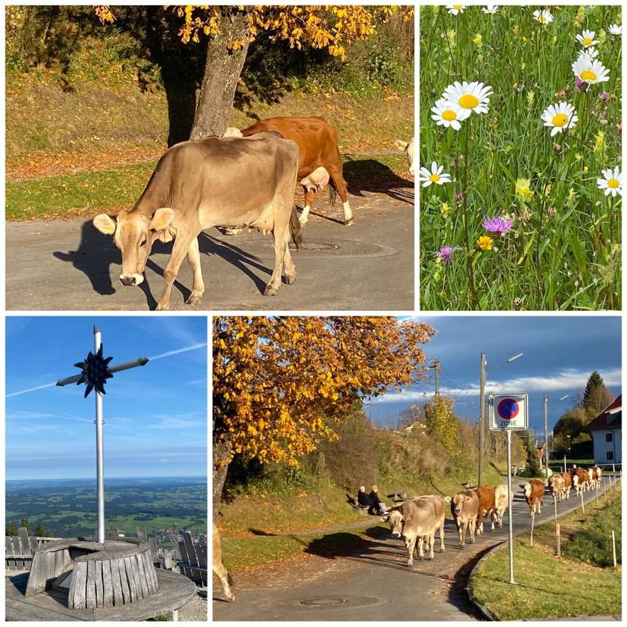 Im- Oberland - Berg - Koenigscard Daire Bad Kohlgrub Dış mekan fotoğraf